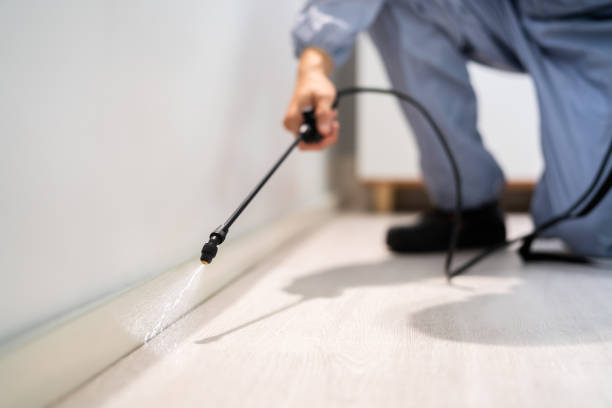 Bed Bug Pre-Treatment Preparation Assessment in White Oak